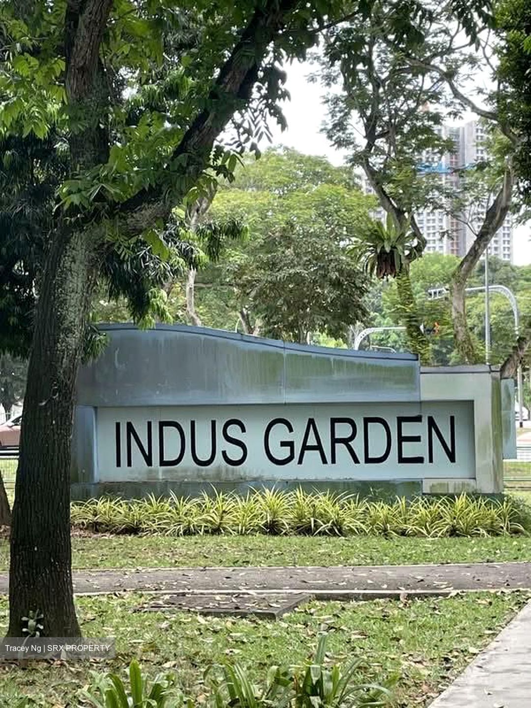 Indus Garden (D3), Shop House #542618871
